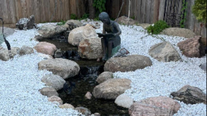 Natural water garden